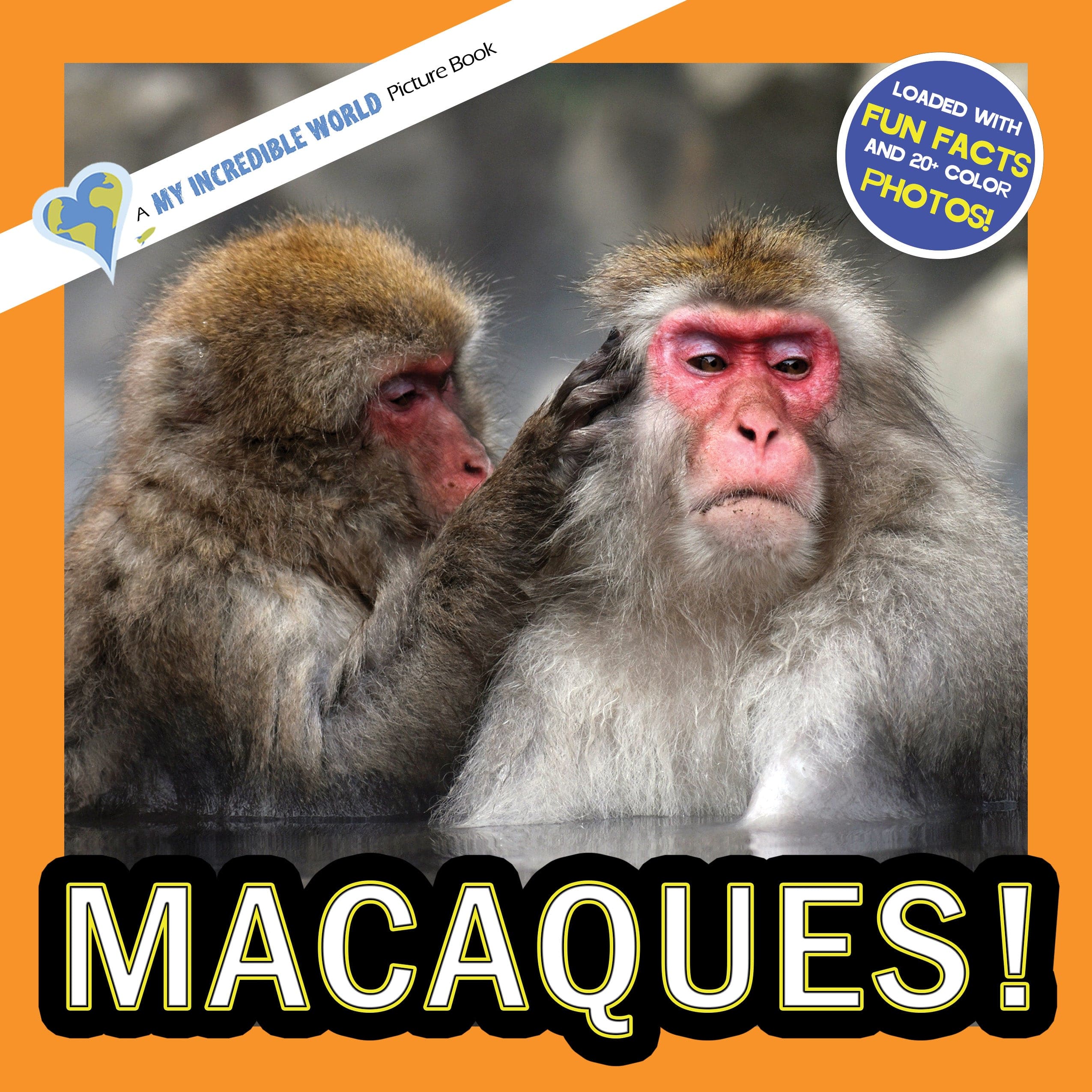 Macaques! A My Incredible World Picture Book for Children
